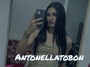 Antonellatobon