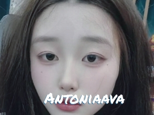 antoniaava Max 50