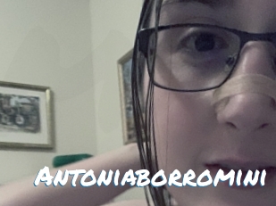 Antoniaborromini