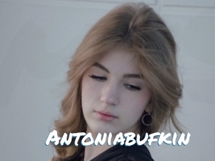 Antoniabufkin