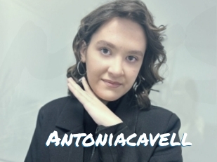 Antoniacavell