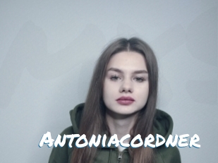 Antoniacordner