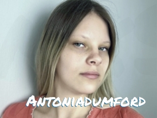 Antoniadumford