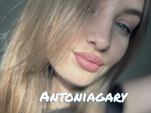 Antoniagary