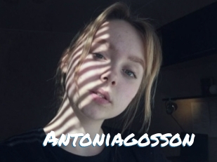 Antoniagosson