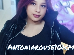 Antoniarouse101cm