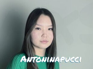 Antoninapucci