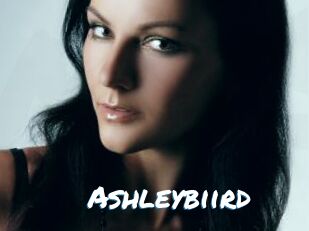 Ashleybiird