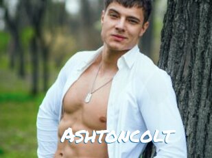 Ashtoncolt
