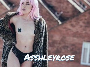 Asshleyrose