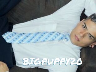 BIGPUPPY20