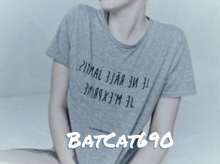 BatCat690