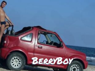 BerryBoy