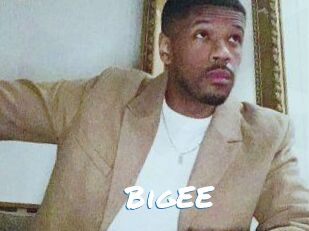 BigEE