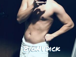 BigNVDick