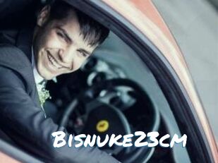 Bisnuke23cm