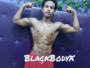 BlackBodyX