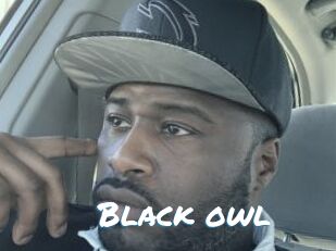 Black_owl