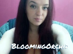 BloomingOrchid