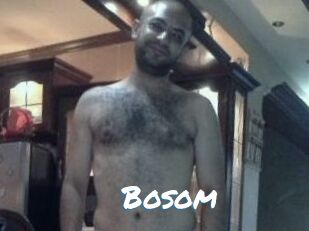 Bosom