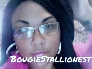 BougieStallionest