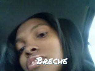 Breche