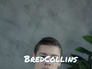 BredCollins