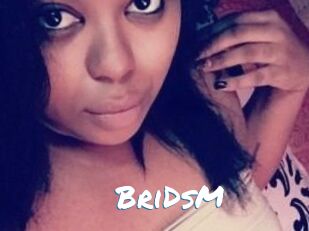 BriDsM