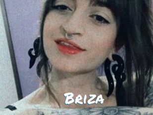 Briza