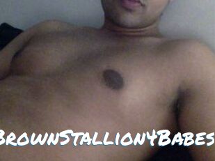 BrownStallion4Babes