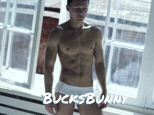 BucksBunny