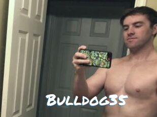 Bulldog35