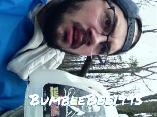 BumbleBee1993