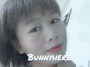 Bunnyhere