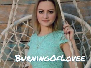 BurningOfLovee