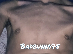 Badbunny75