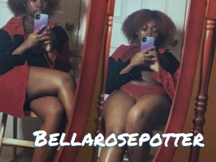 Bellarosepotter