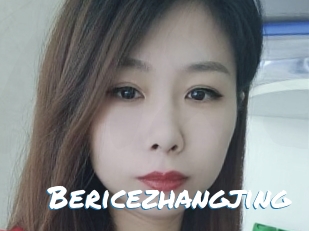 Bericezhangjing