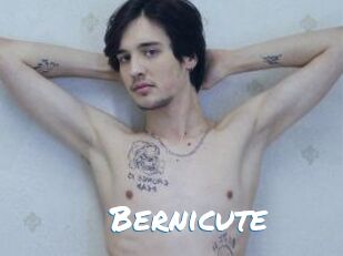 Bernicute