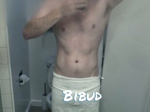 Bibud