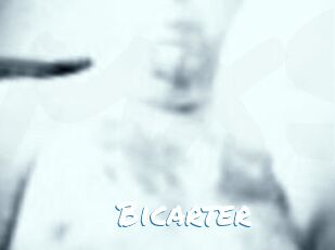 Bicarter