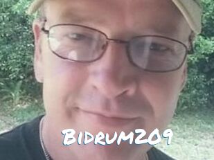 Bidrum209
