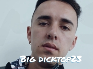 Big_dicktop23