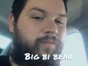 Big_bi_bear