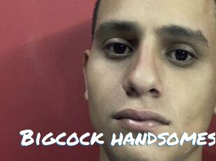 Bigcock_handsomes