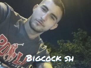 Bigcock_sh