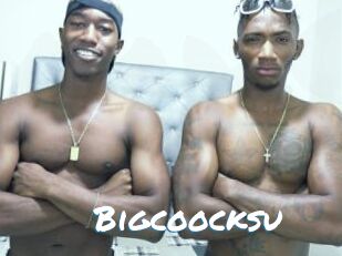 Bigcoocksu