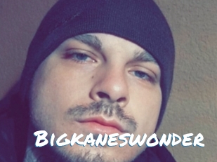 Bigkaneswonder