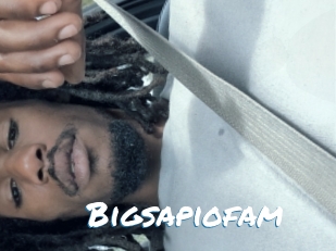 Bigsapiofam