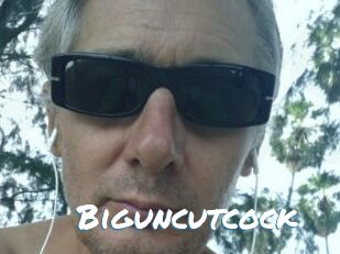 Biguncutcock